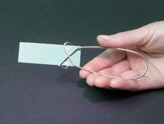 Plastic Slide Holder Forceps