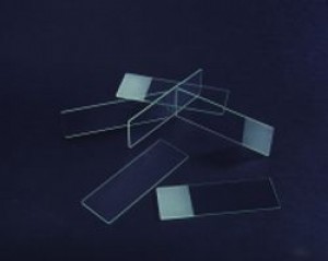 Poly-L-Lysine Coated Adhesive Microscope Slides 