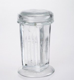 Glass Coplin Staining Jar (Histology)